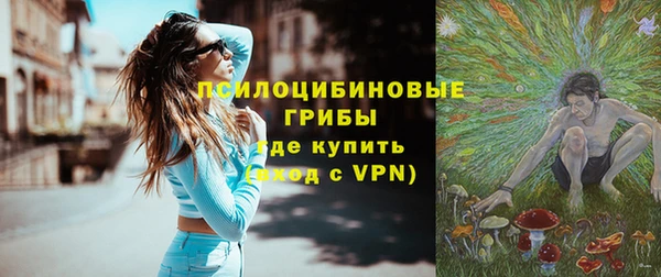 мдпв Ладушкин