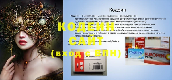 мдпв Ладушкин