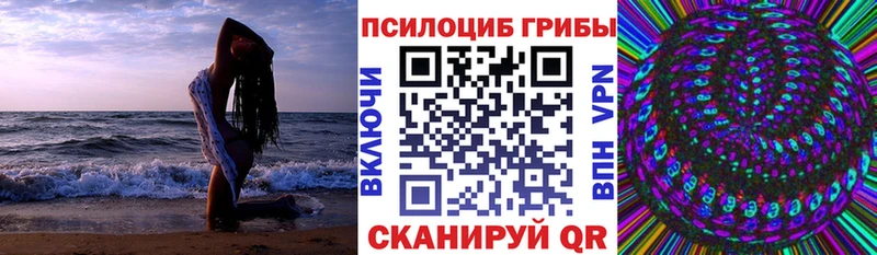 Галлюциногенные грибы Psilocybine cubensis  Купить где  Зуевка 